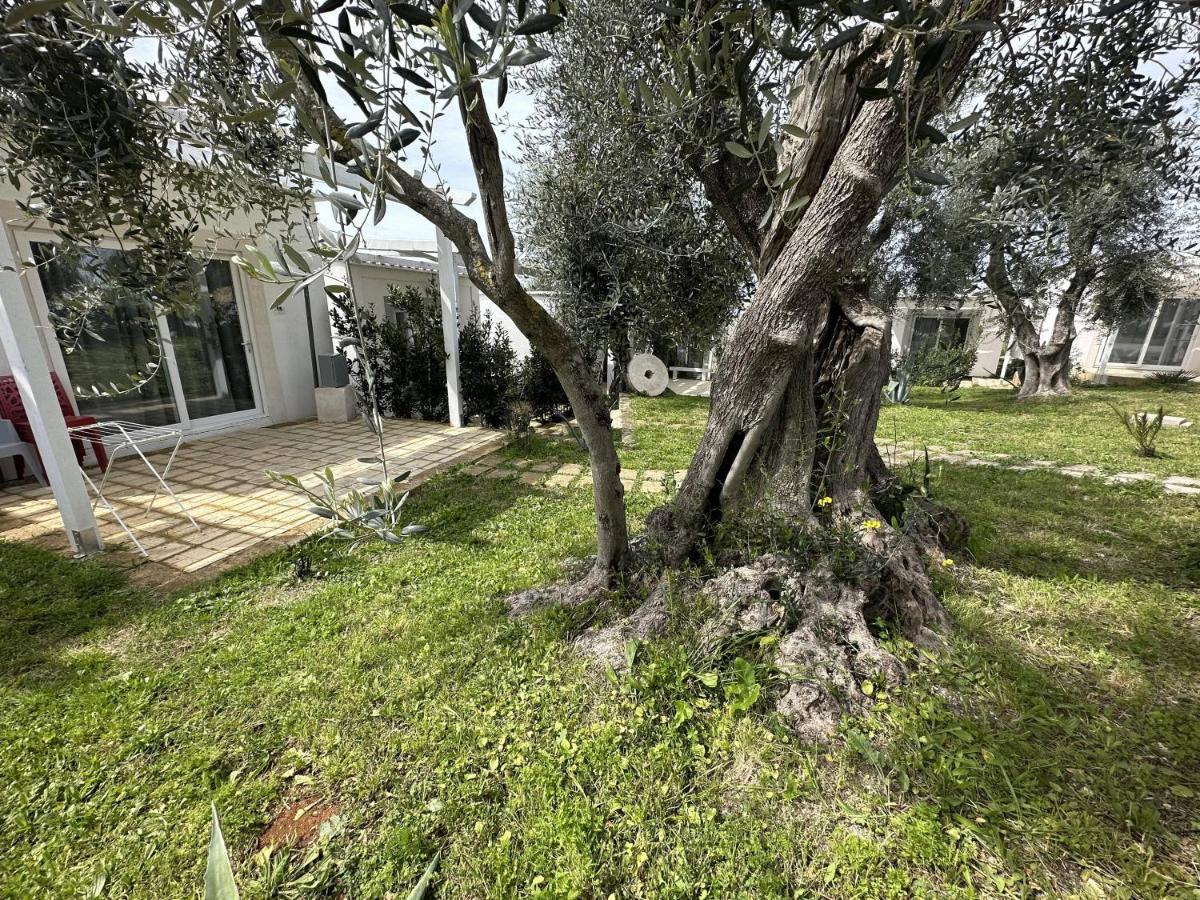 Frontemare Hotel Village & Ristorante Rodi Garganico Exterior foto